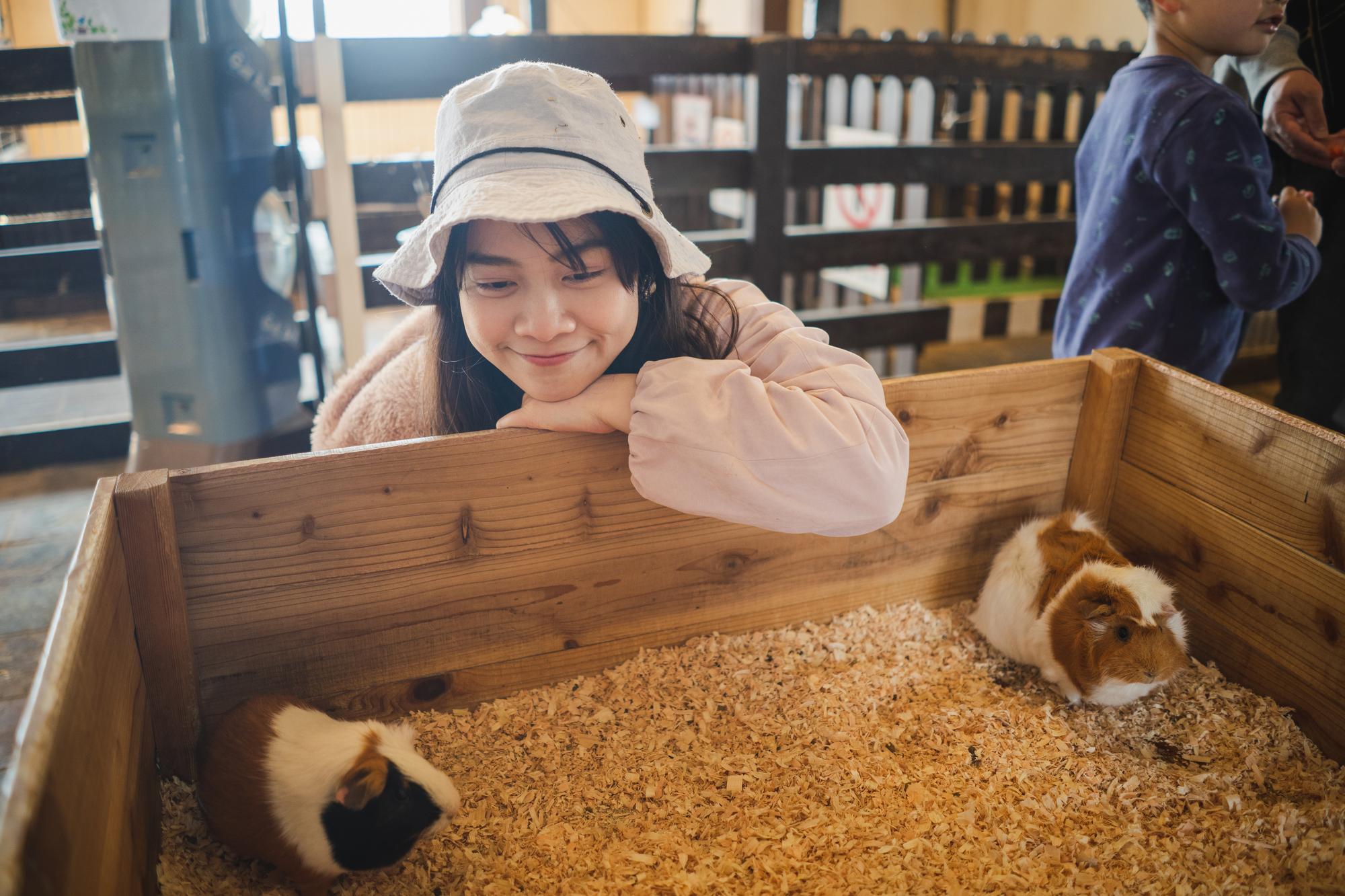 一碗豆花帶上飛機：日本女孩的萬呎告白，與台灣甜品的溫柔攻略