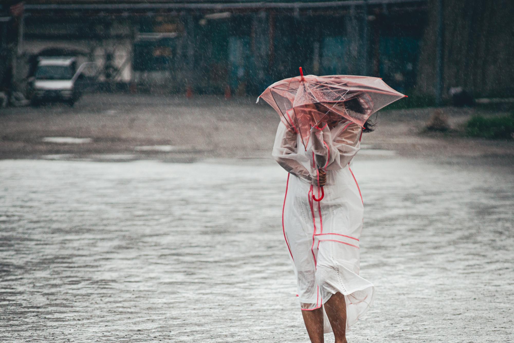 南部這場雨，有點不太對勁 — 相關圖片3