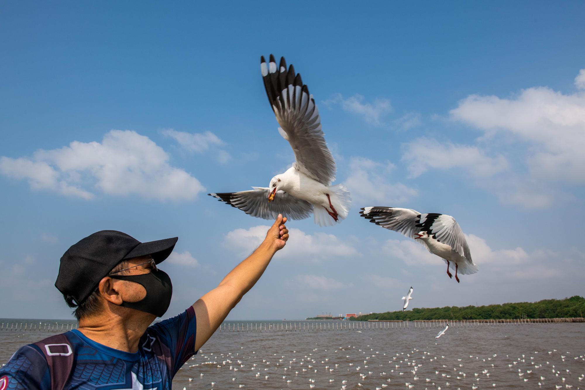 黑毛球與花魁鳥——屏東海生館那場五年後才揭曉的變身