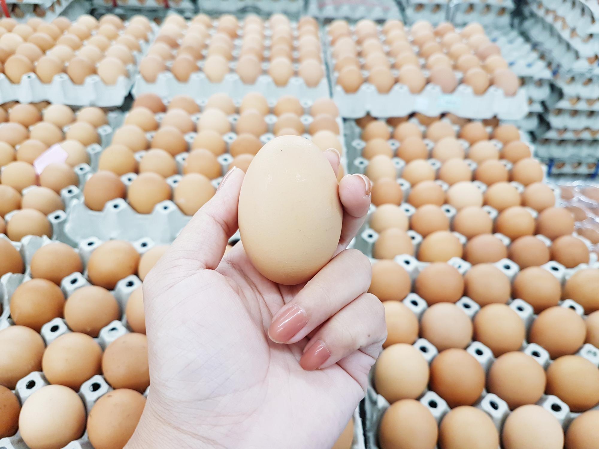 每日12.75萬箱,那為什麼我家超市還是沒蛋? — 相關圖片3