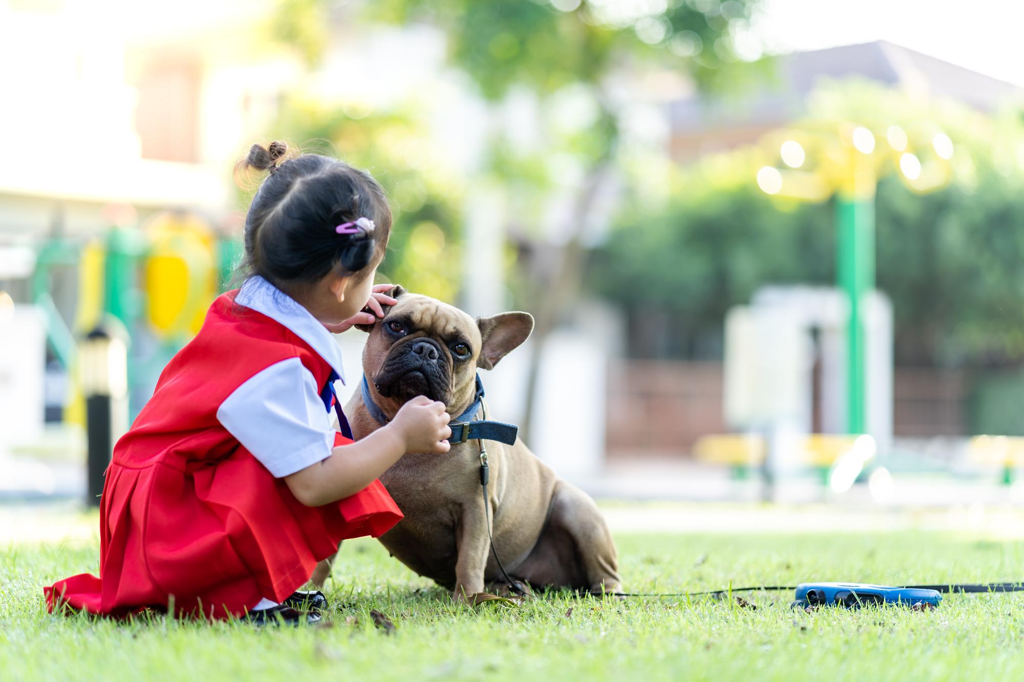 退役緝毒犬沒有退休金——但牠們其實超適合領養