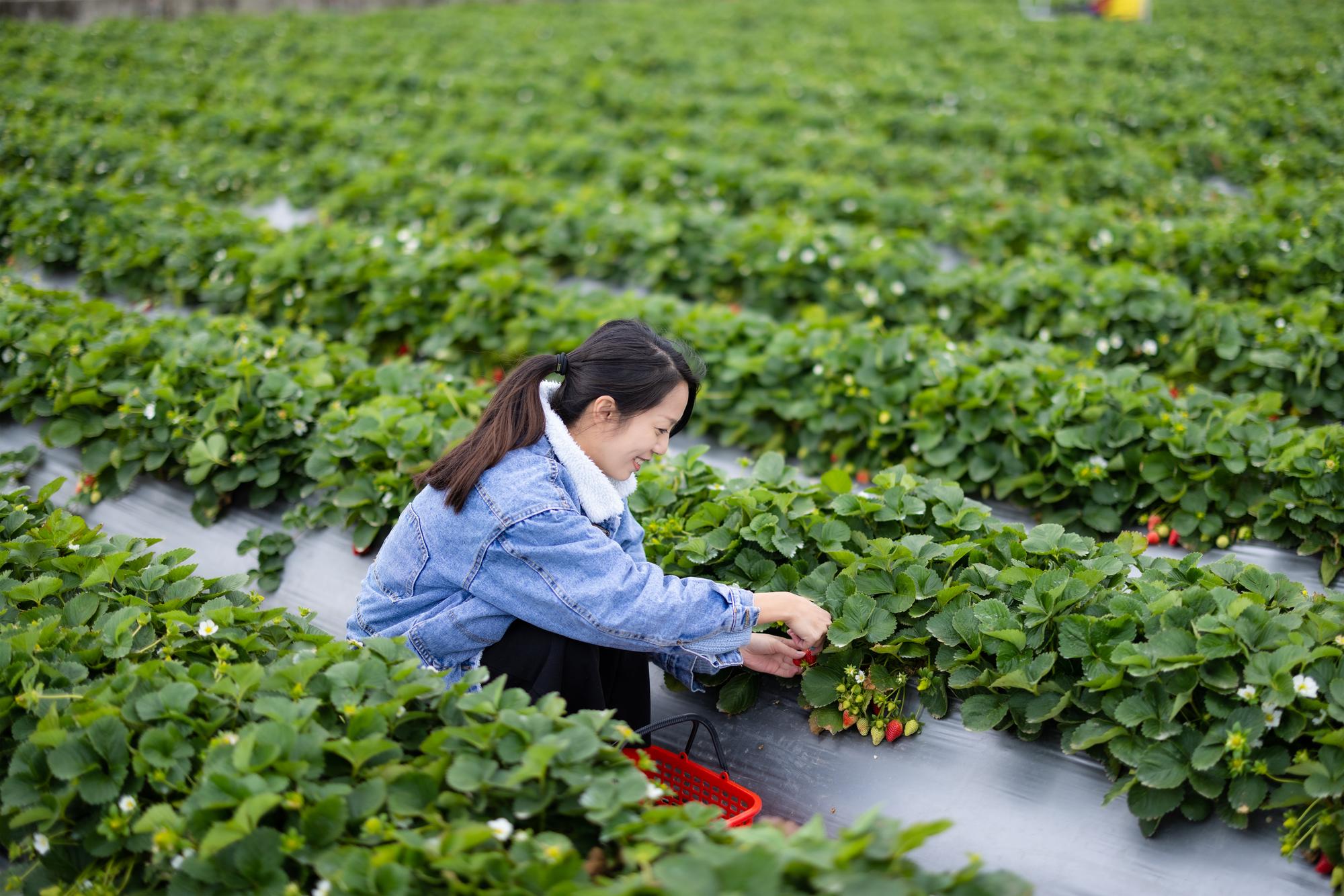 當企業老闆聽完淨零碳排，轉身就買了兩箱水里梅子