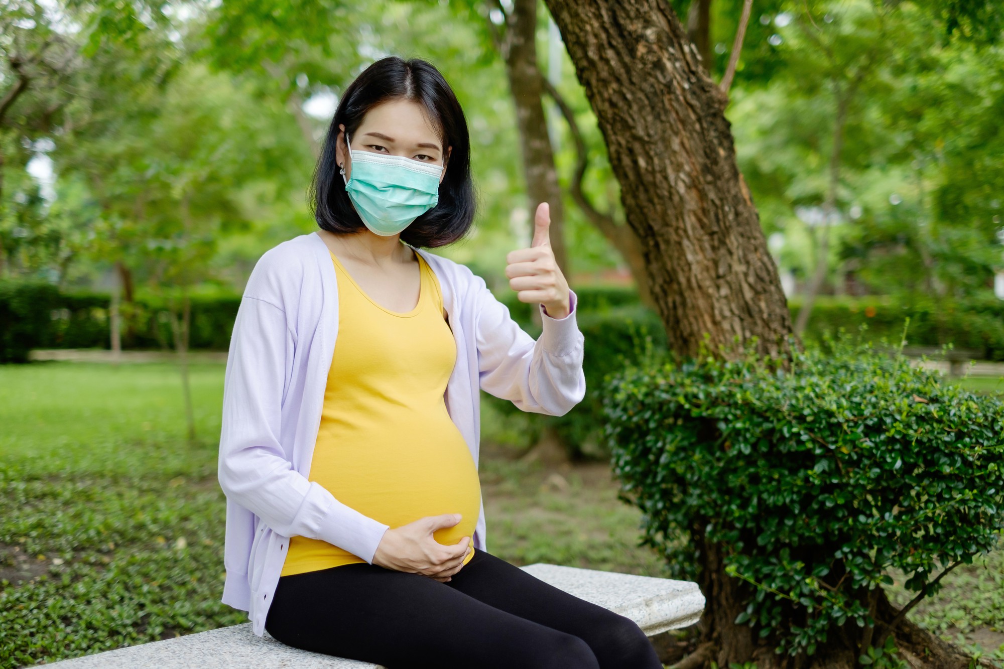去泰國被蚊子叮，回國要停機三個月？疾管署這樣說 — 相關圖片2
