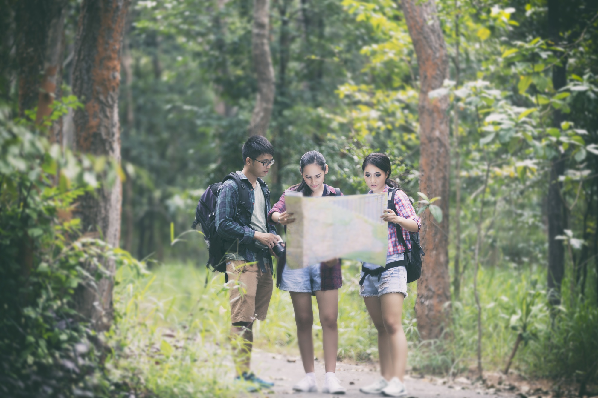 十元入園奧萬大,但你可能得先在山路上等等