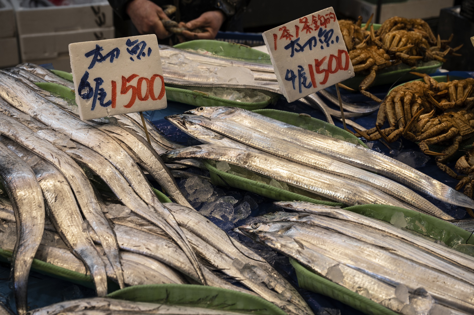 250公斤黑鮪魚現殺秀：竹風漁市的母親節引流戰，是孝親還是錢包黑洞？