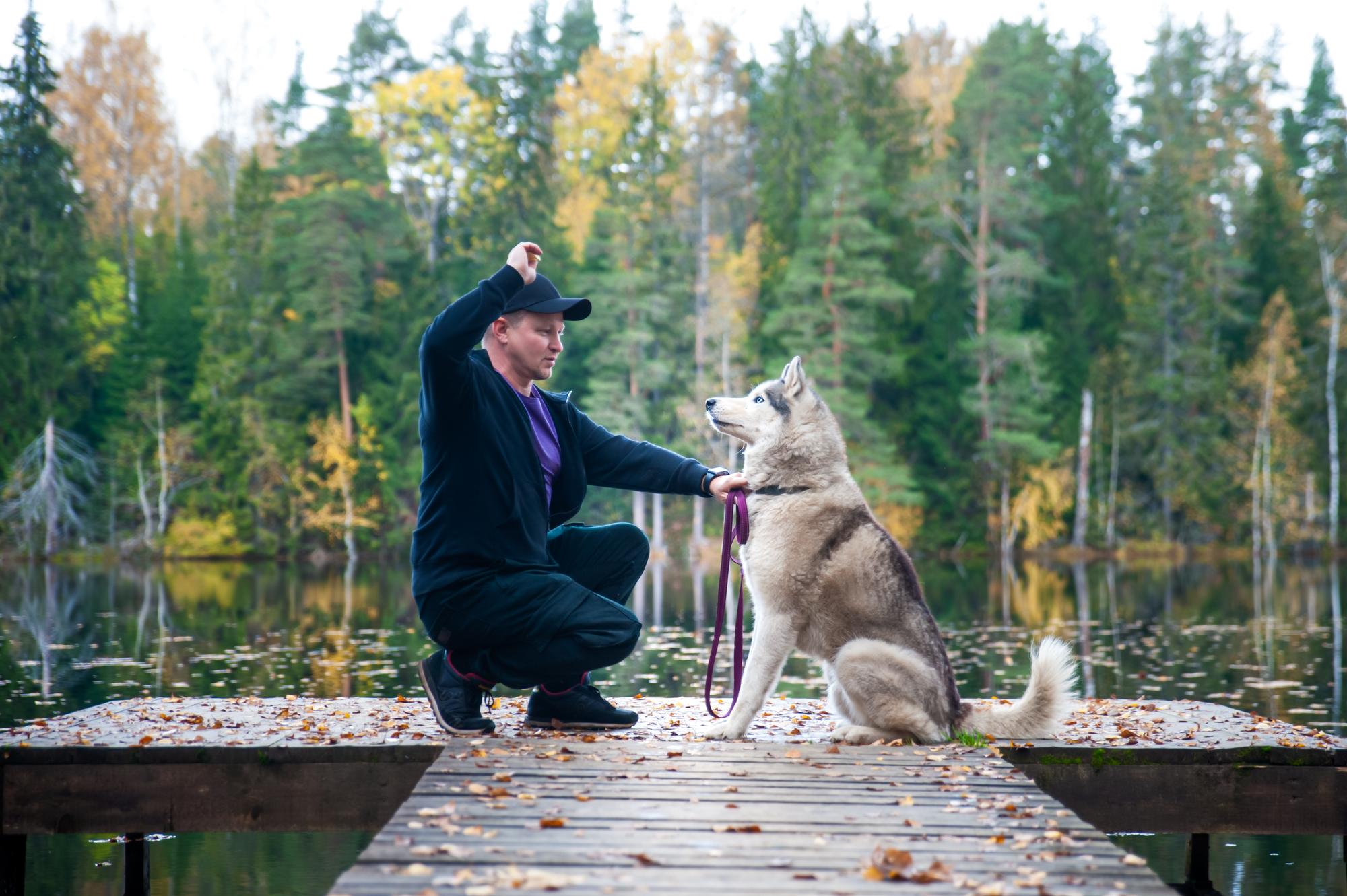 退役緝毒犬沒有退休金——但牠們其實超適合領養 — 相關圖片3
