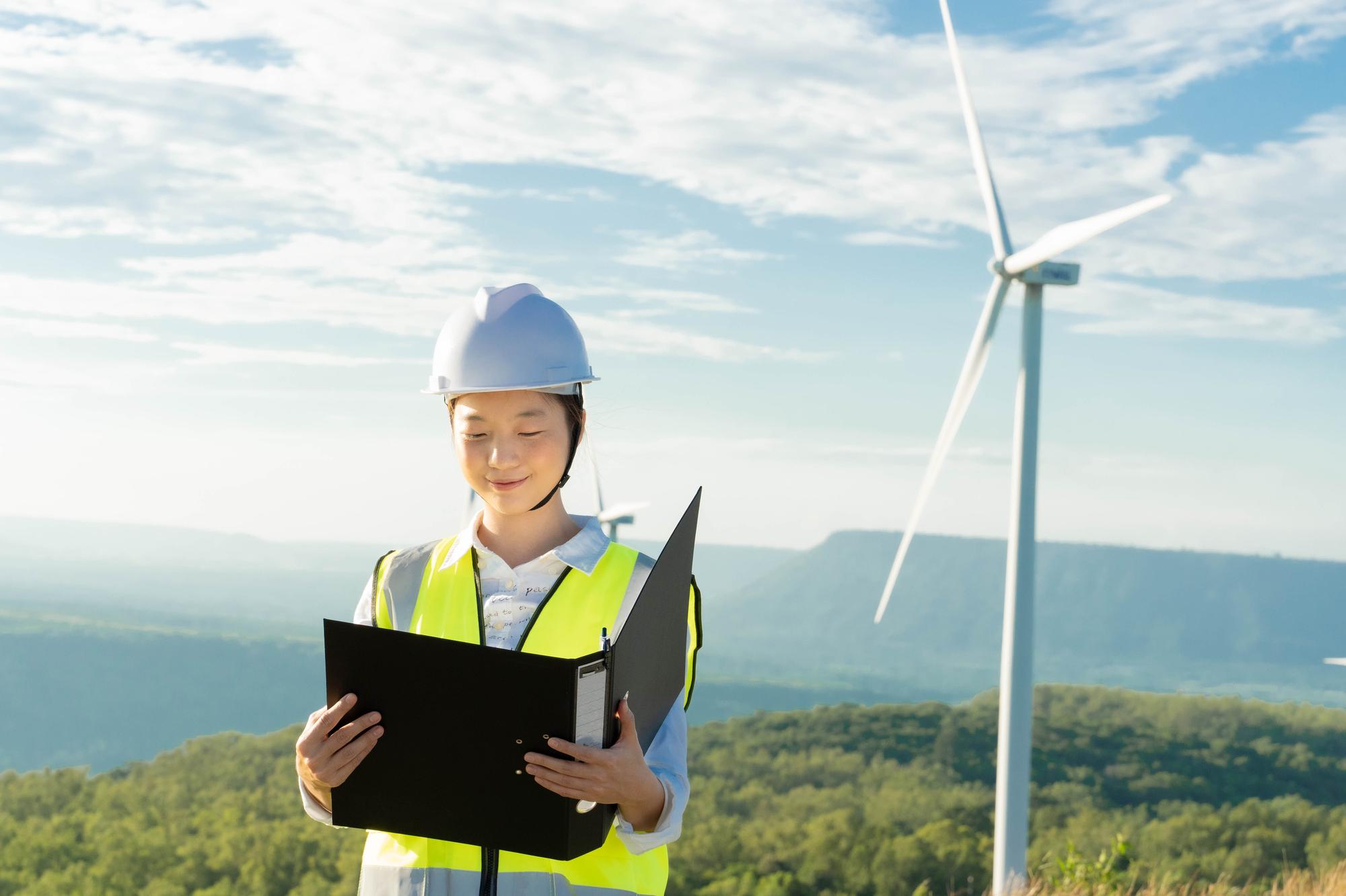 離岸風電國產化：百億發電背後，9座風場未達標的真相 — 相關圖片3