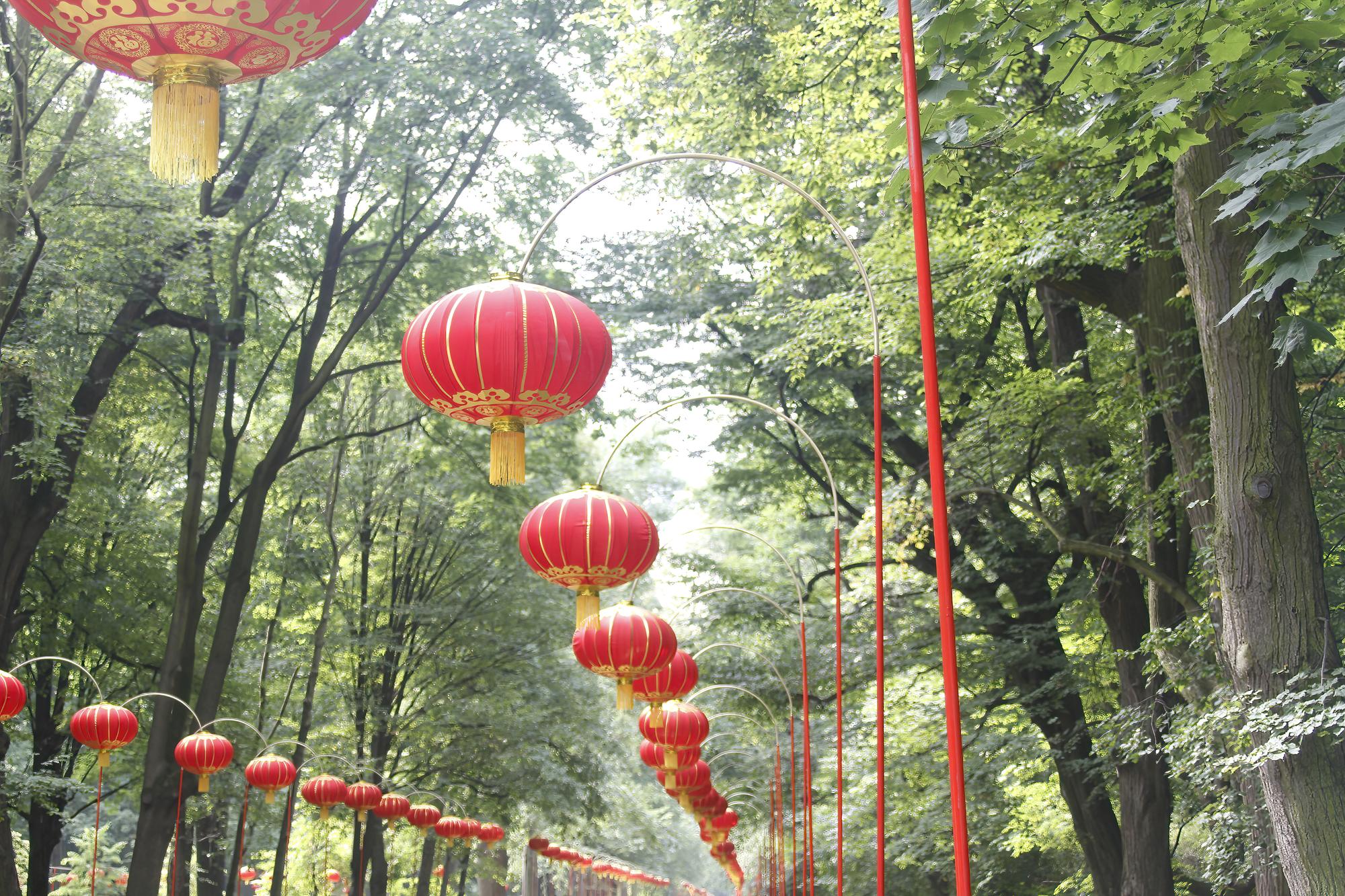 雲林館有點不對勁：旅展裡最香的那區，賣的不只是風景 — 相關圖片3