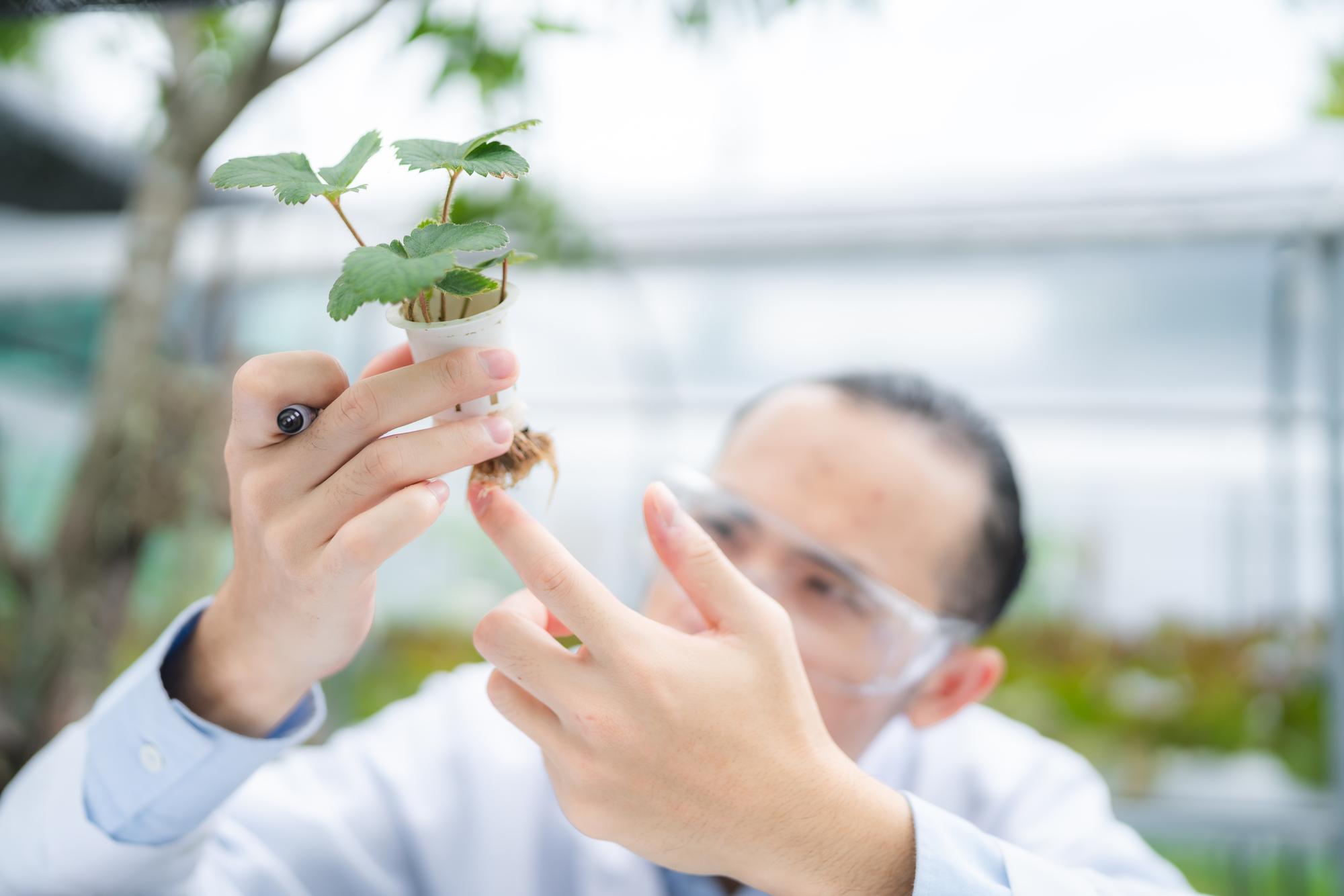 中化製藥50億ESG聯貸案：銀行團搶破頭，但利率優惠能省多少？