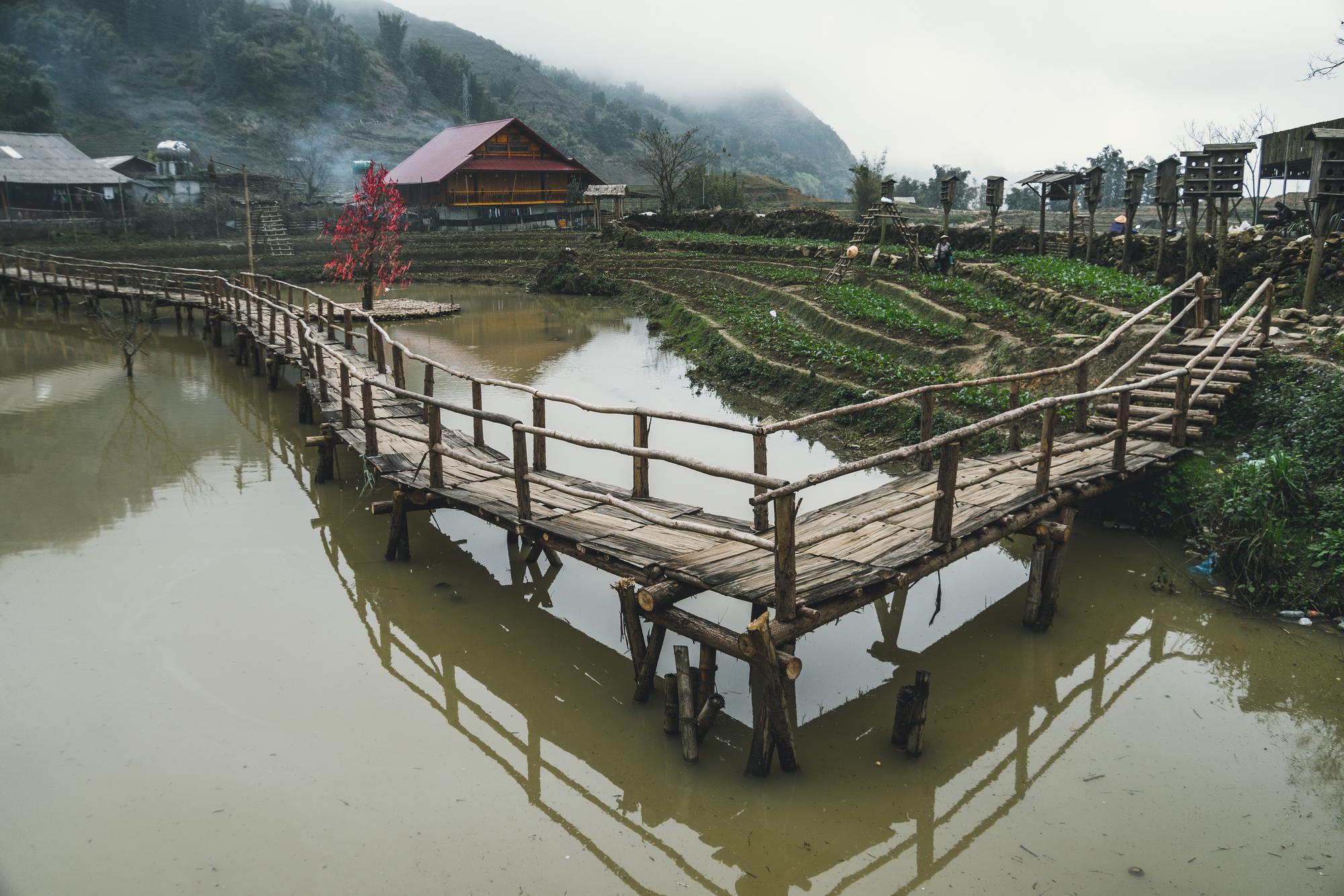 一場雨後，菜市場裡那些回不去的價格