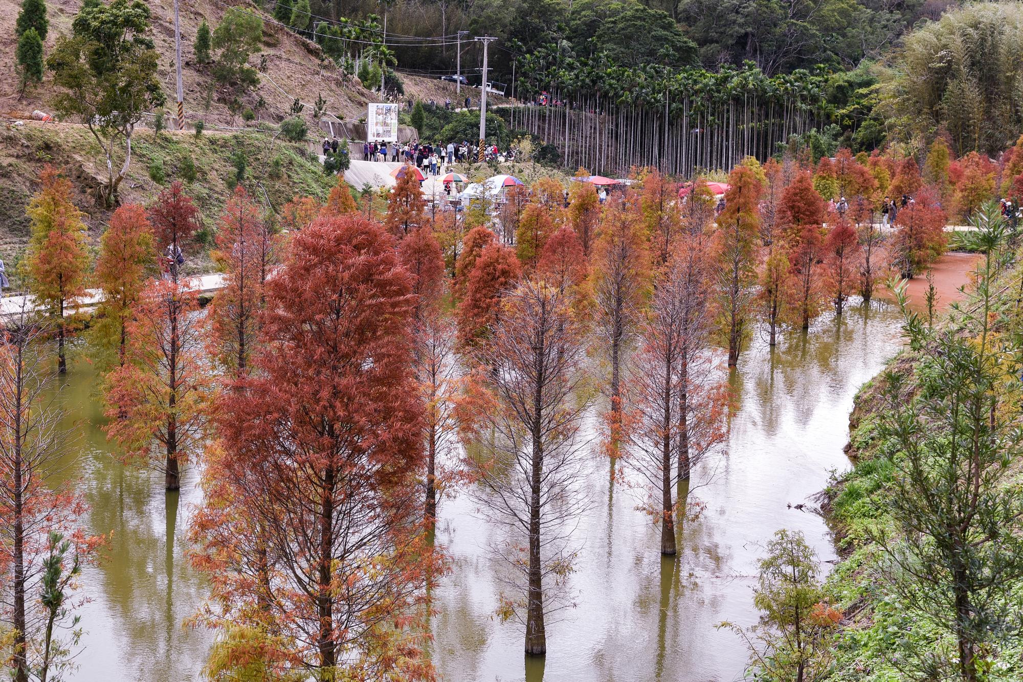 北部開始發霉，南部還在流汗——東北季風來了，台灣真的是同一座島嗎？