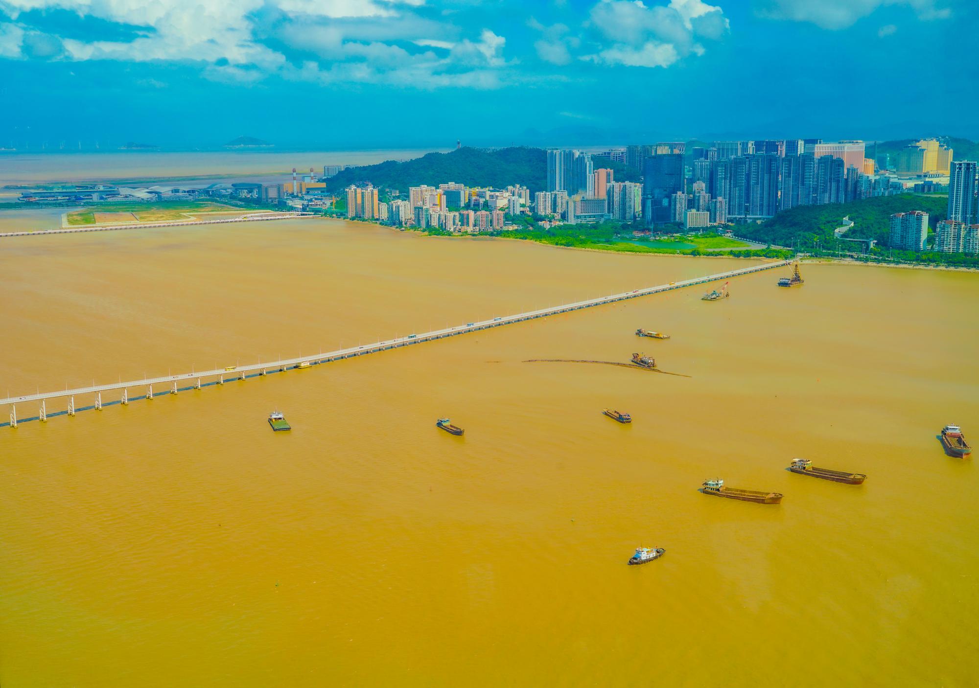 金龍海嘯兩年後：九成獲利背後，這5.7%賠售藏著什麼真相？ — 相關圖片3