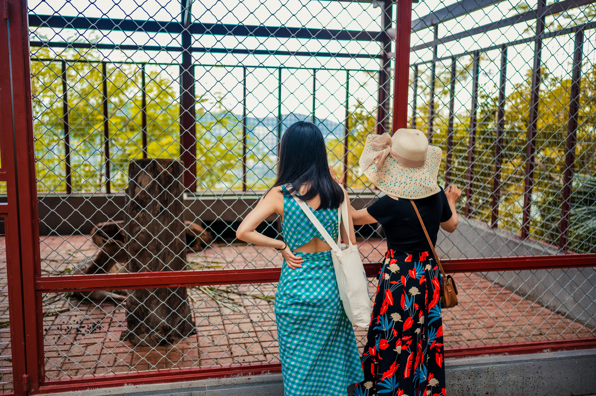 旅展買毛巾？雲林館排隊人潮背後，藏著一場國旅轉型實驗 — 相關圖片2