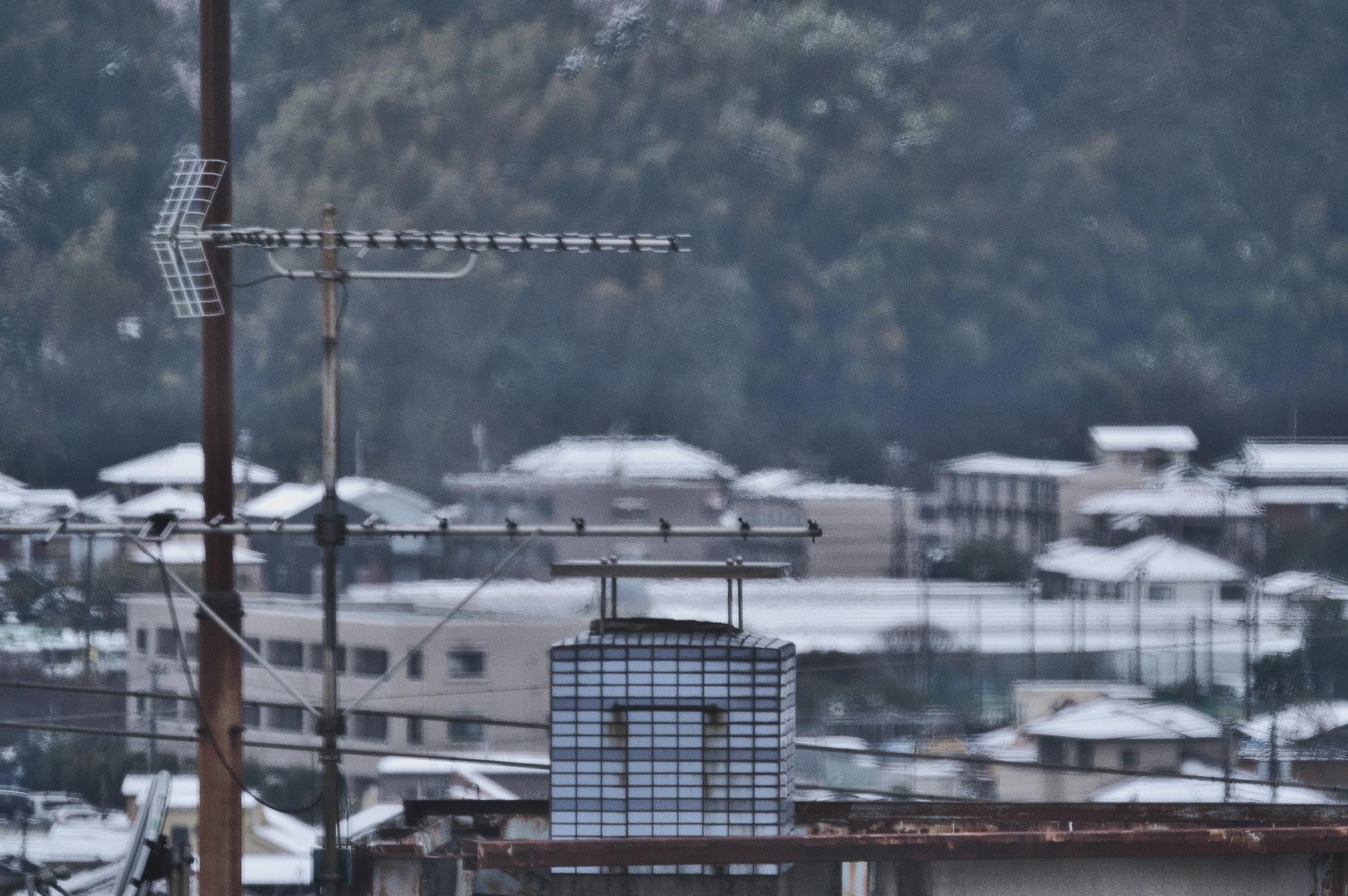 熊本強震後的半導體韌性：當災害成為產業日常的壓力測試